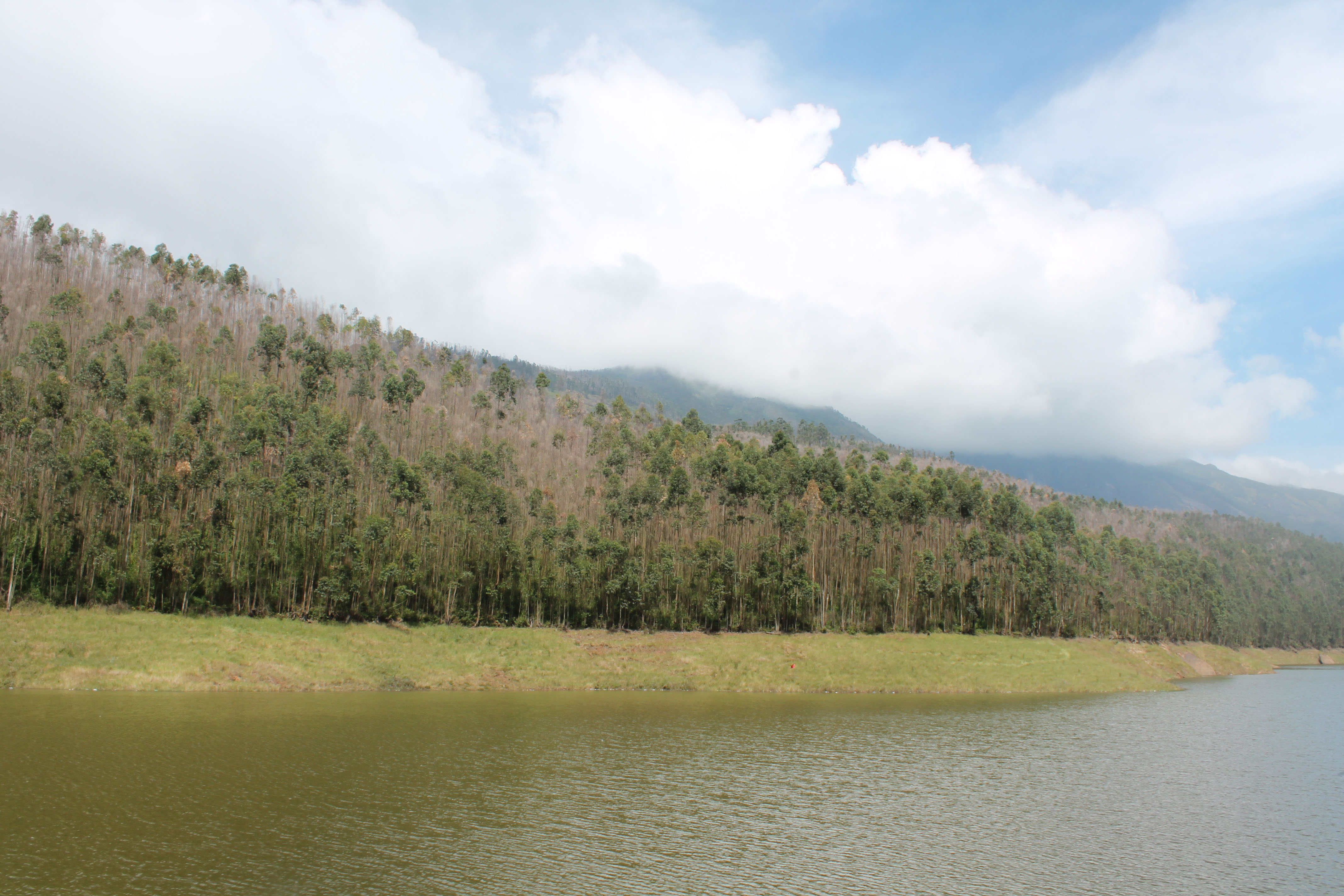 A lake in Munnar Kerala with the echo point