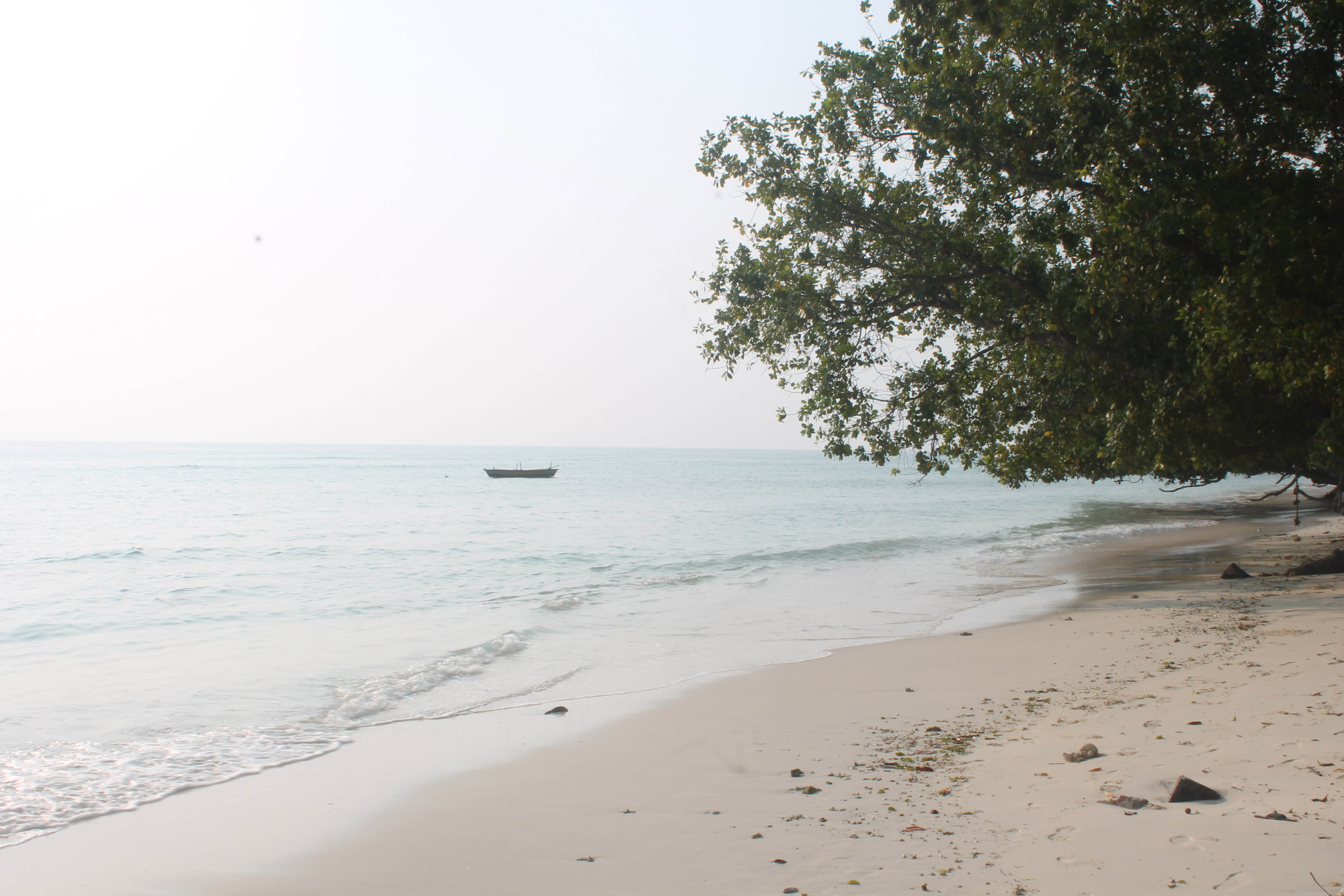 The beautiful beaches of Havelock island