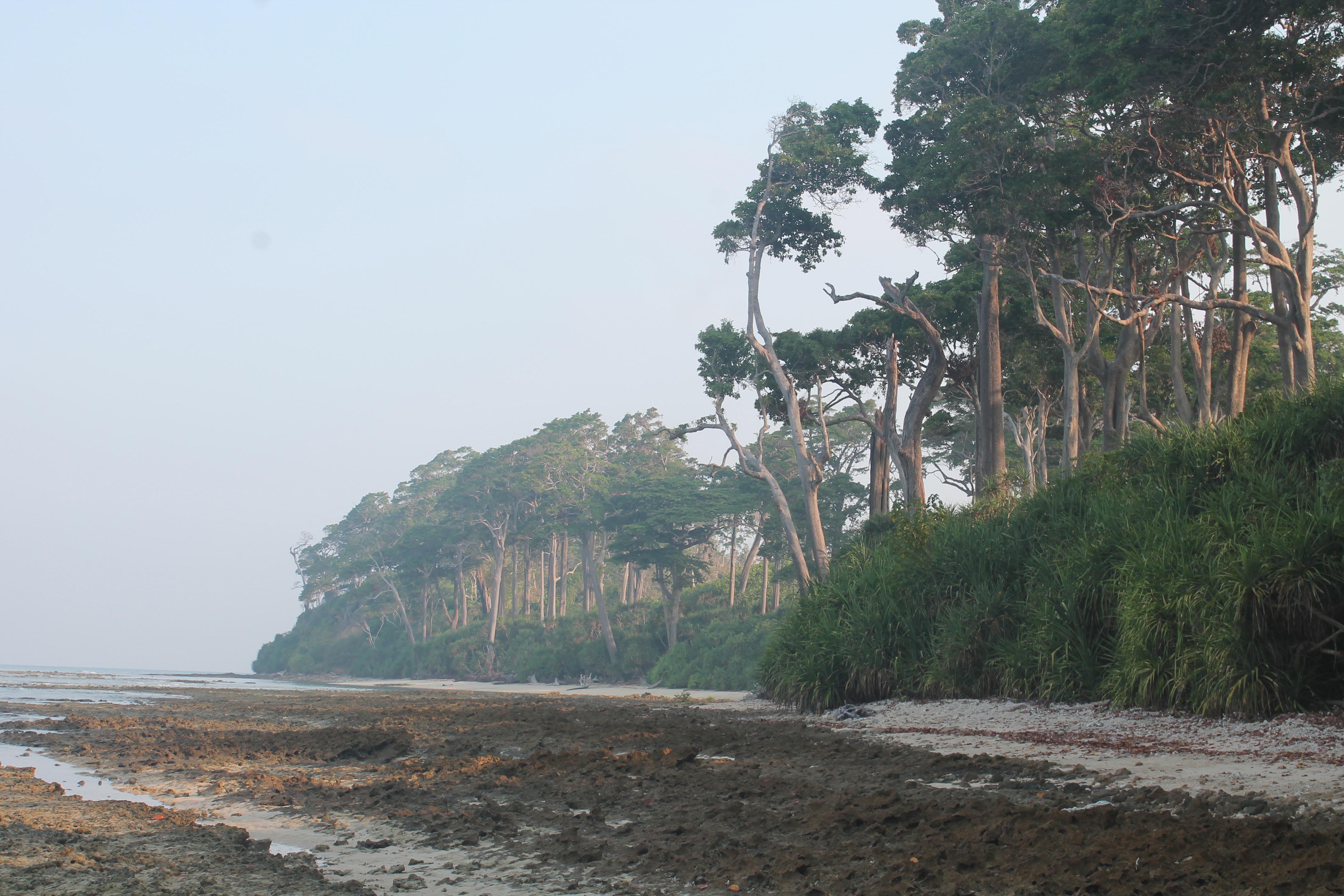 a unique beach in neil island