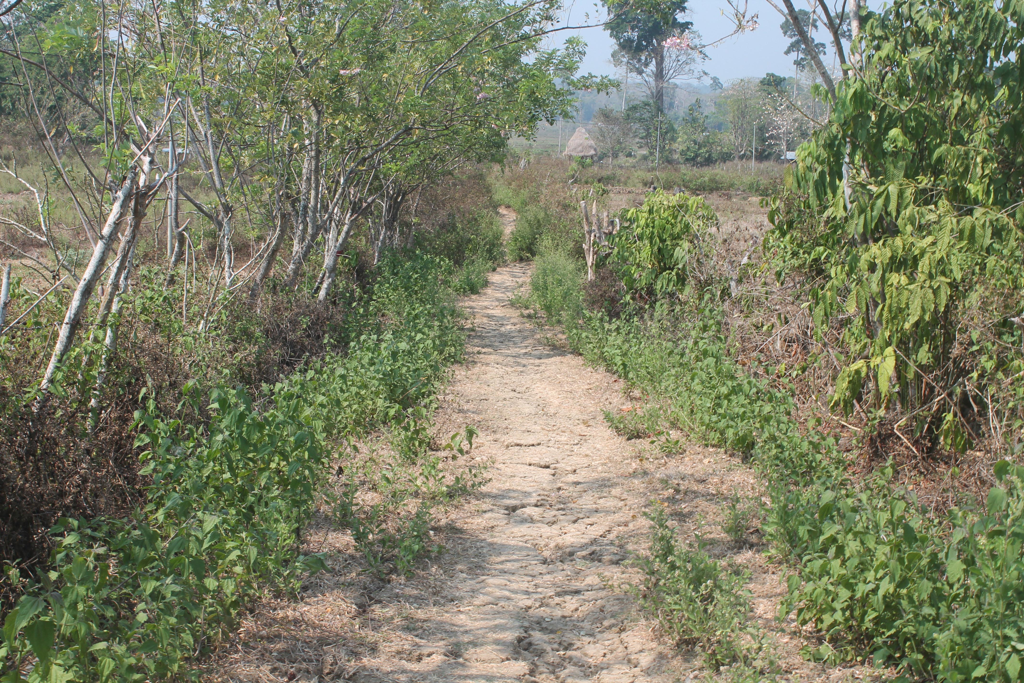 the trek to lalaji beach