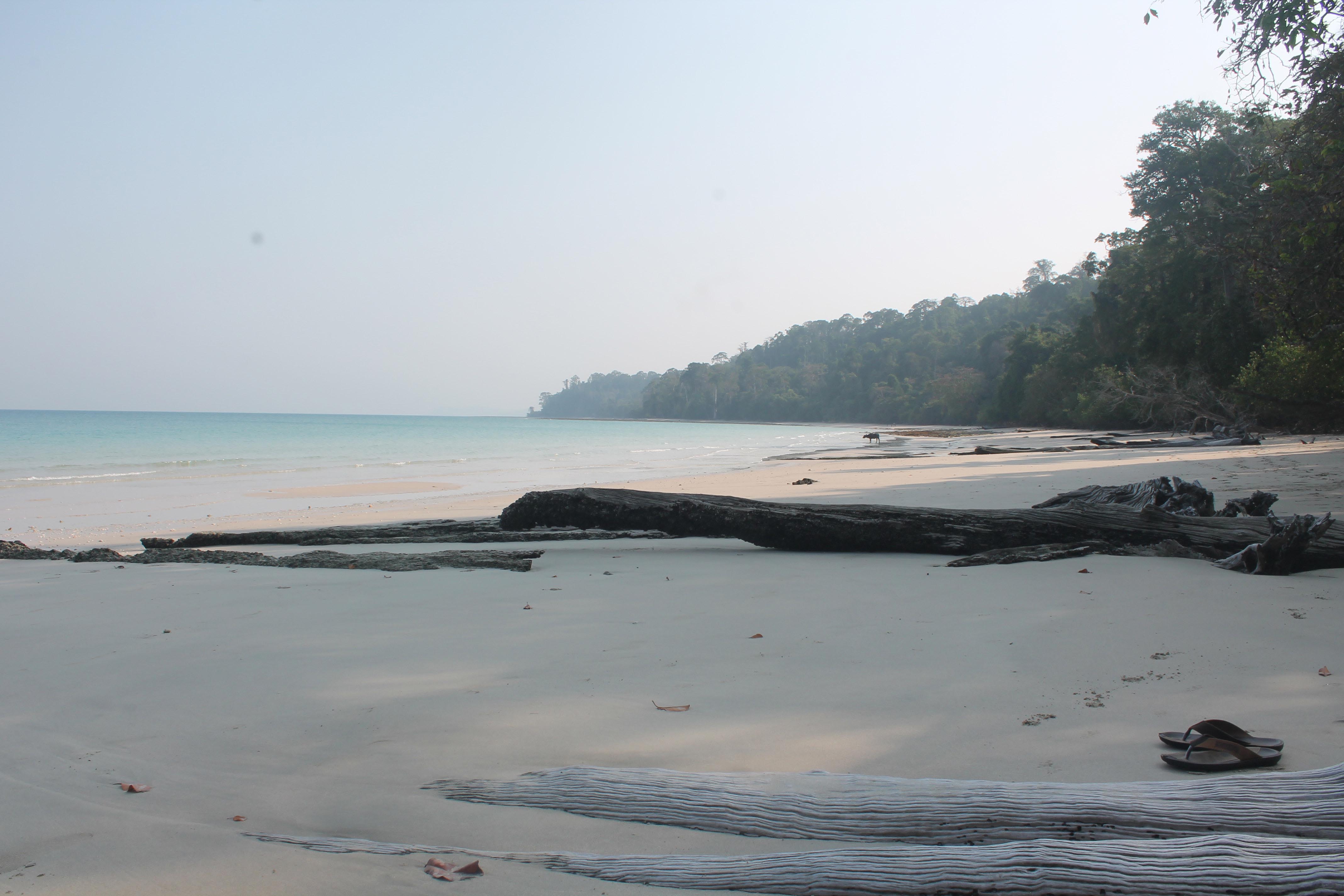 the most beautiful beach in andaman in long island