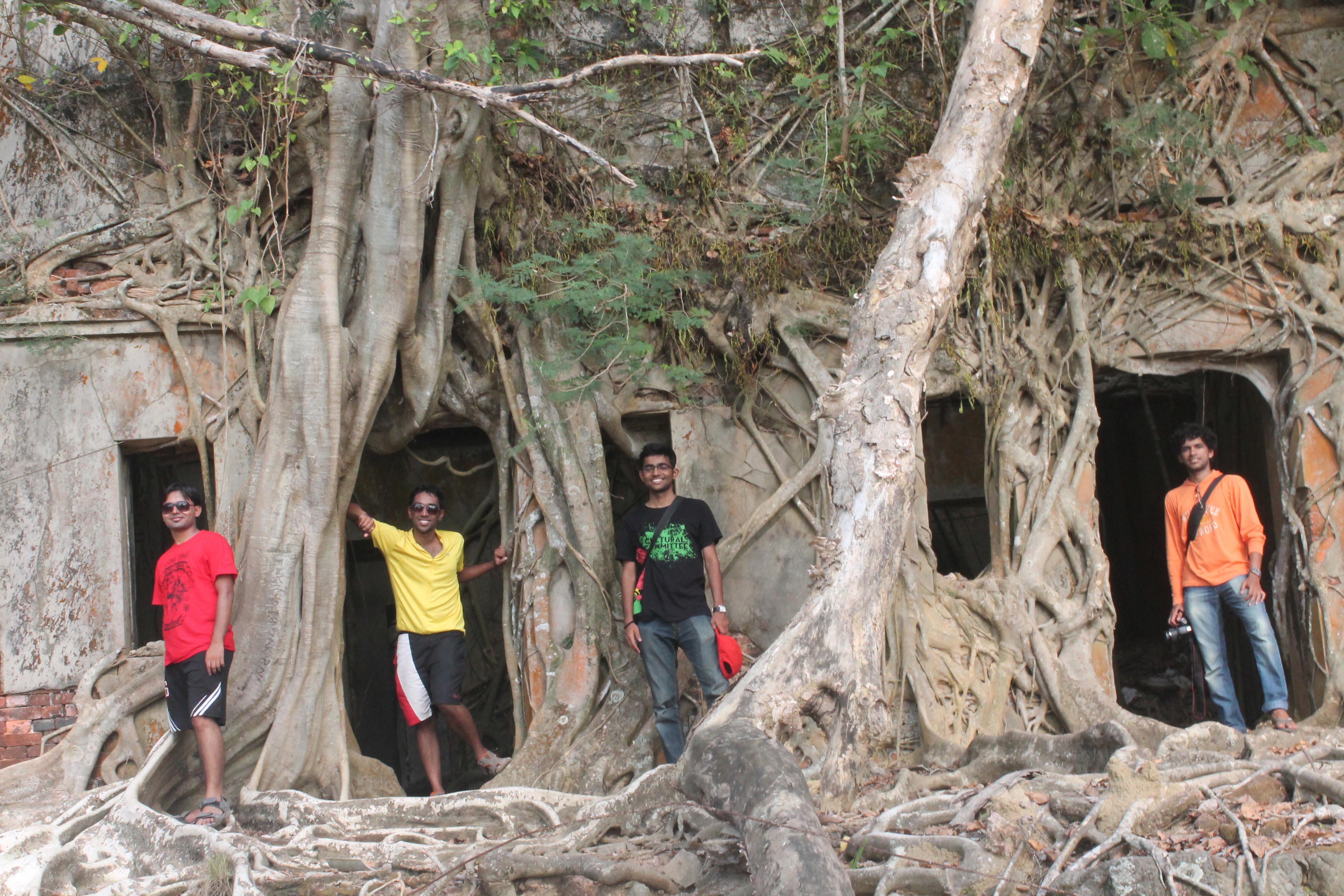 building covered by trees on ross island