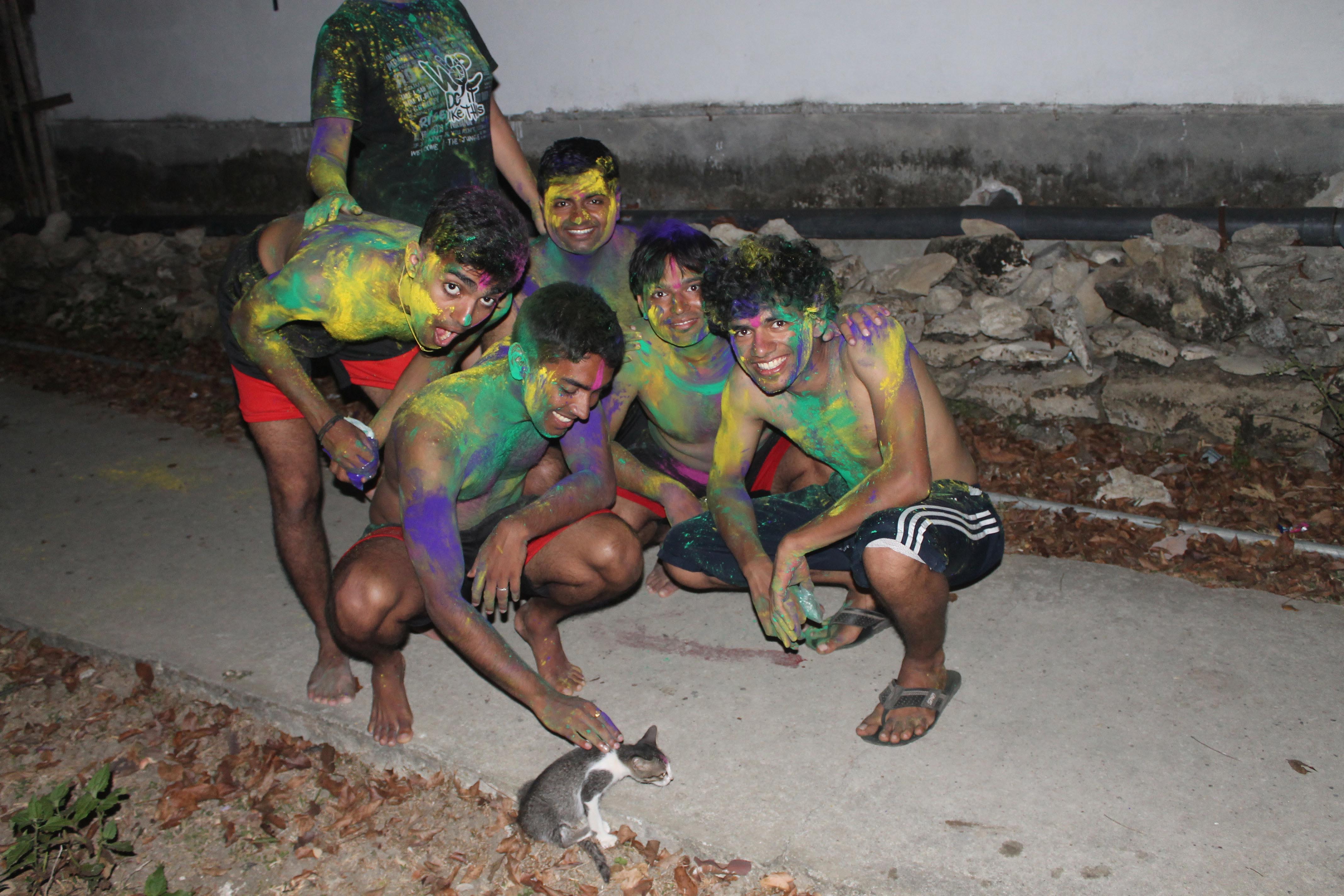 playing holi with a cat in long island