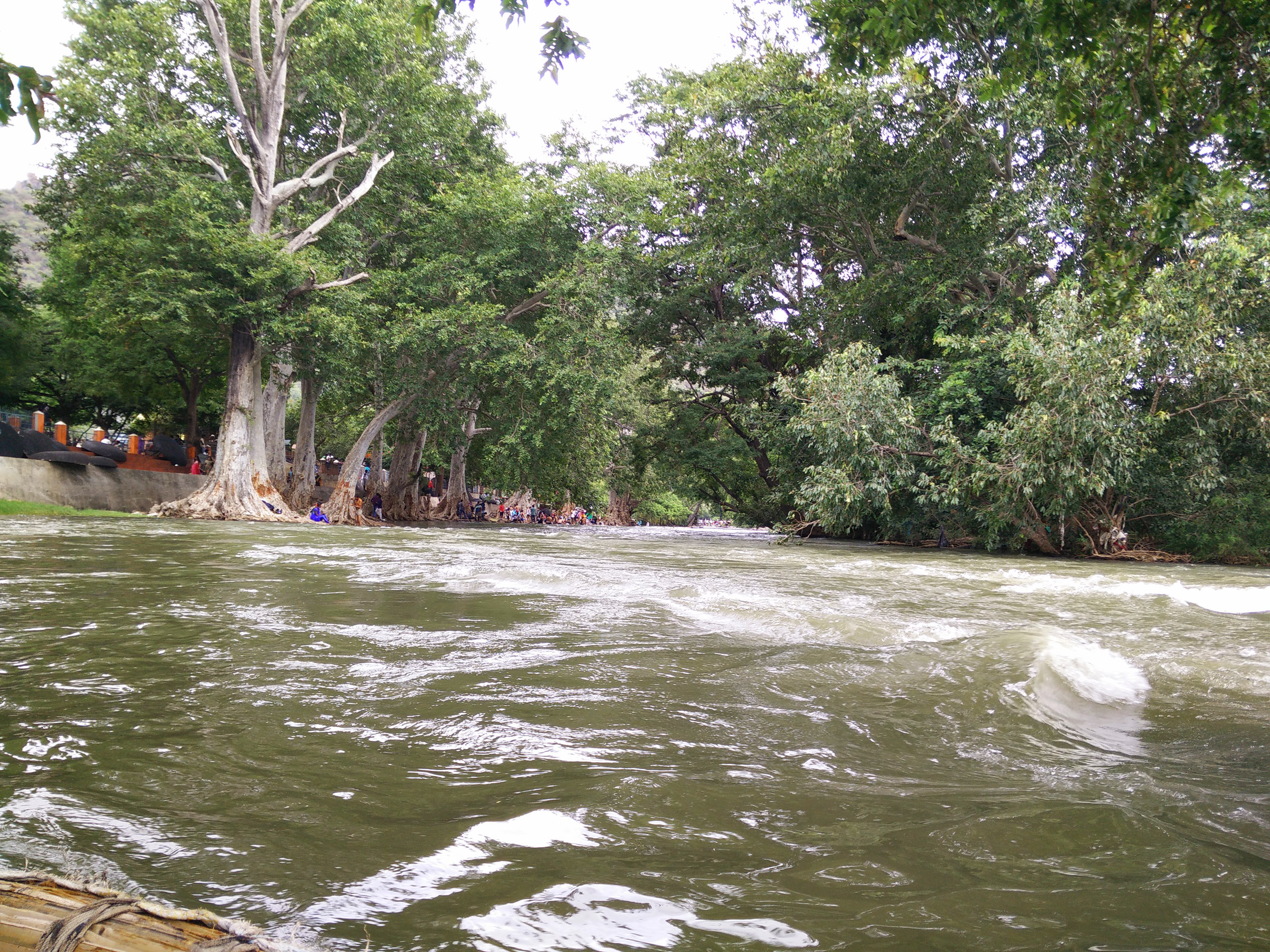 on the way back to the bank of the river