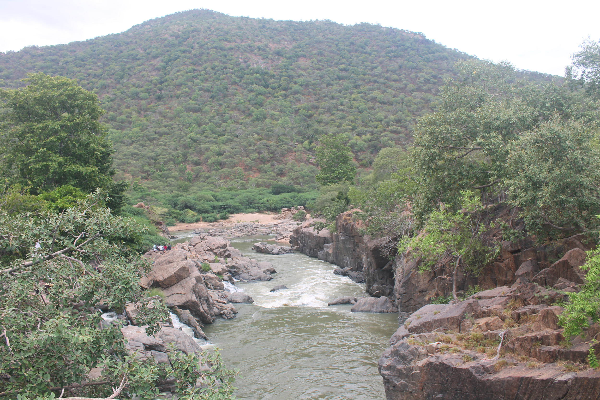 A view of Hogenakkal falls