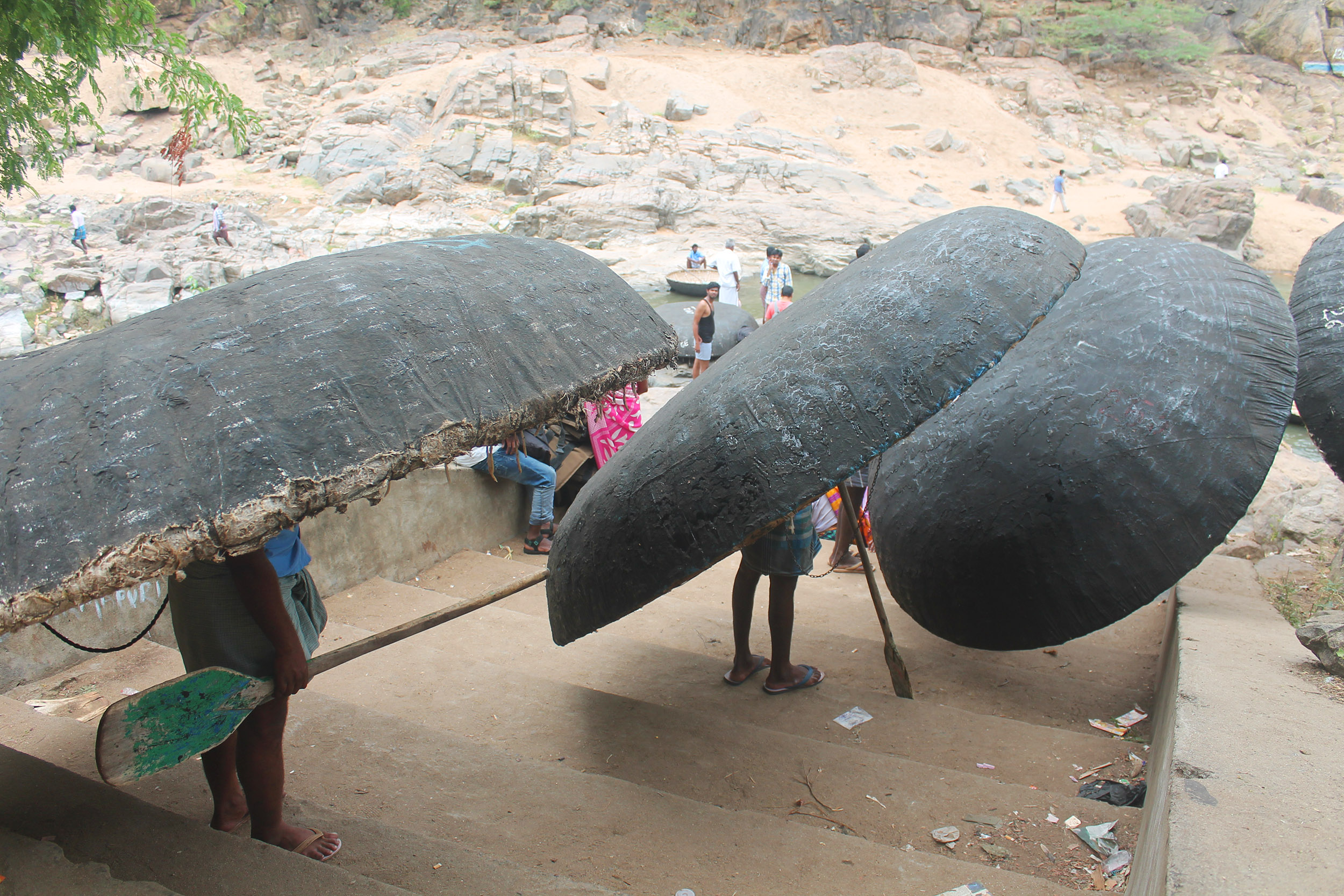 the coracle rides on the river near hogenakkal falls
