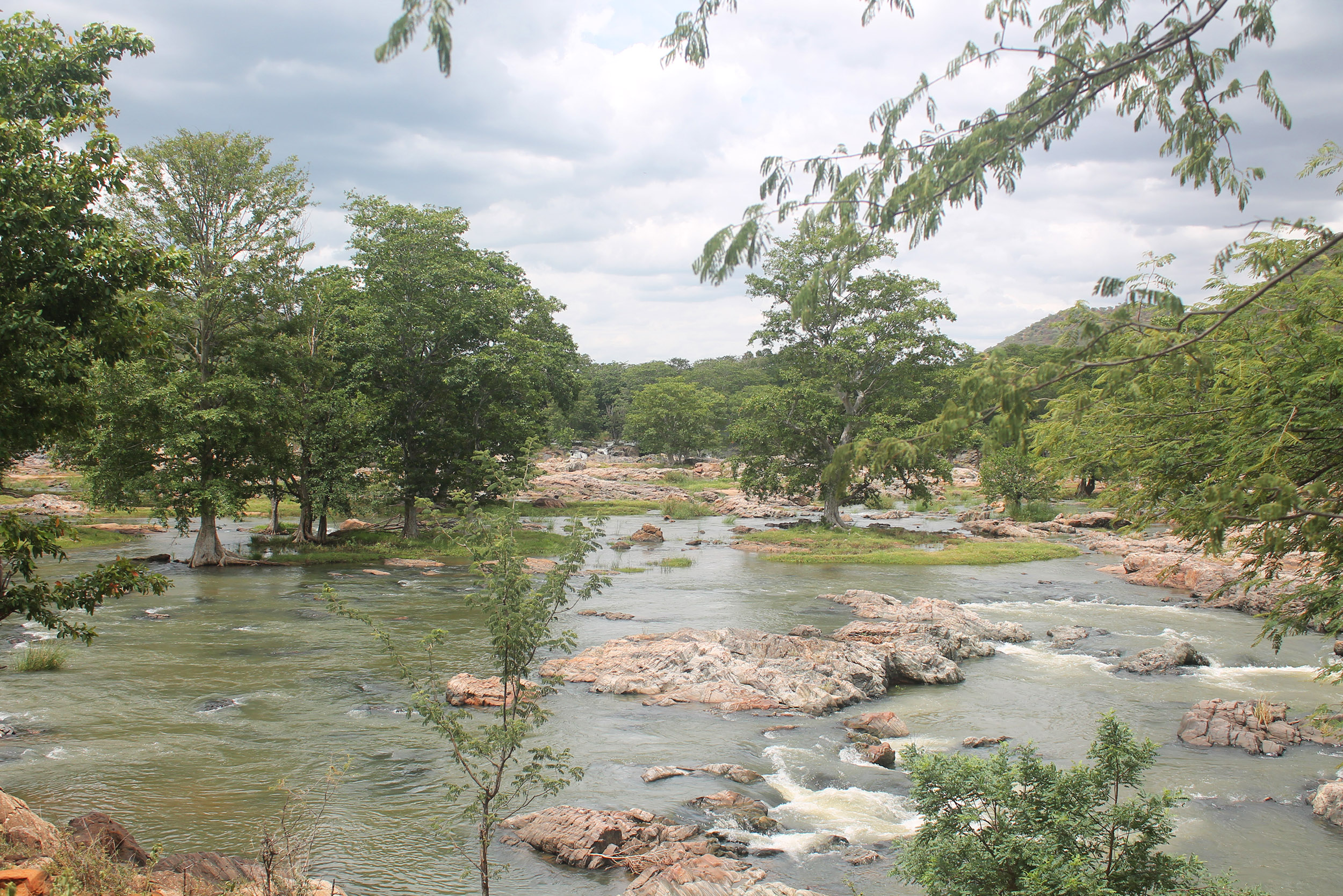 the river widening and forming islands