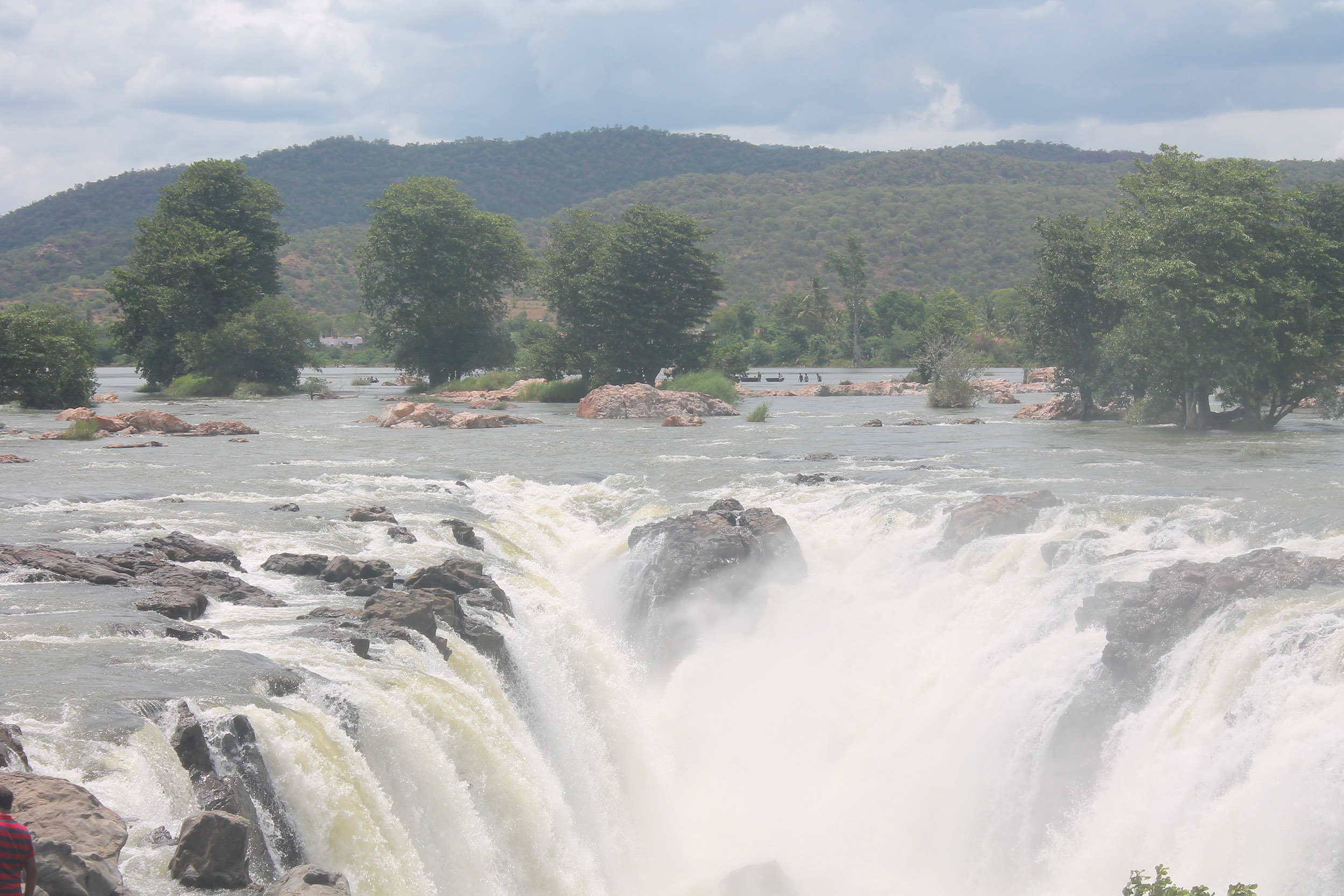 the magnificent drop of Hogenakkal falls