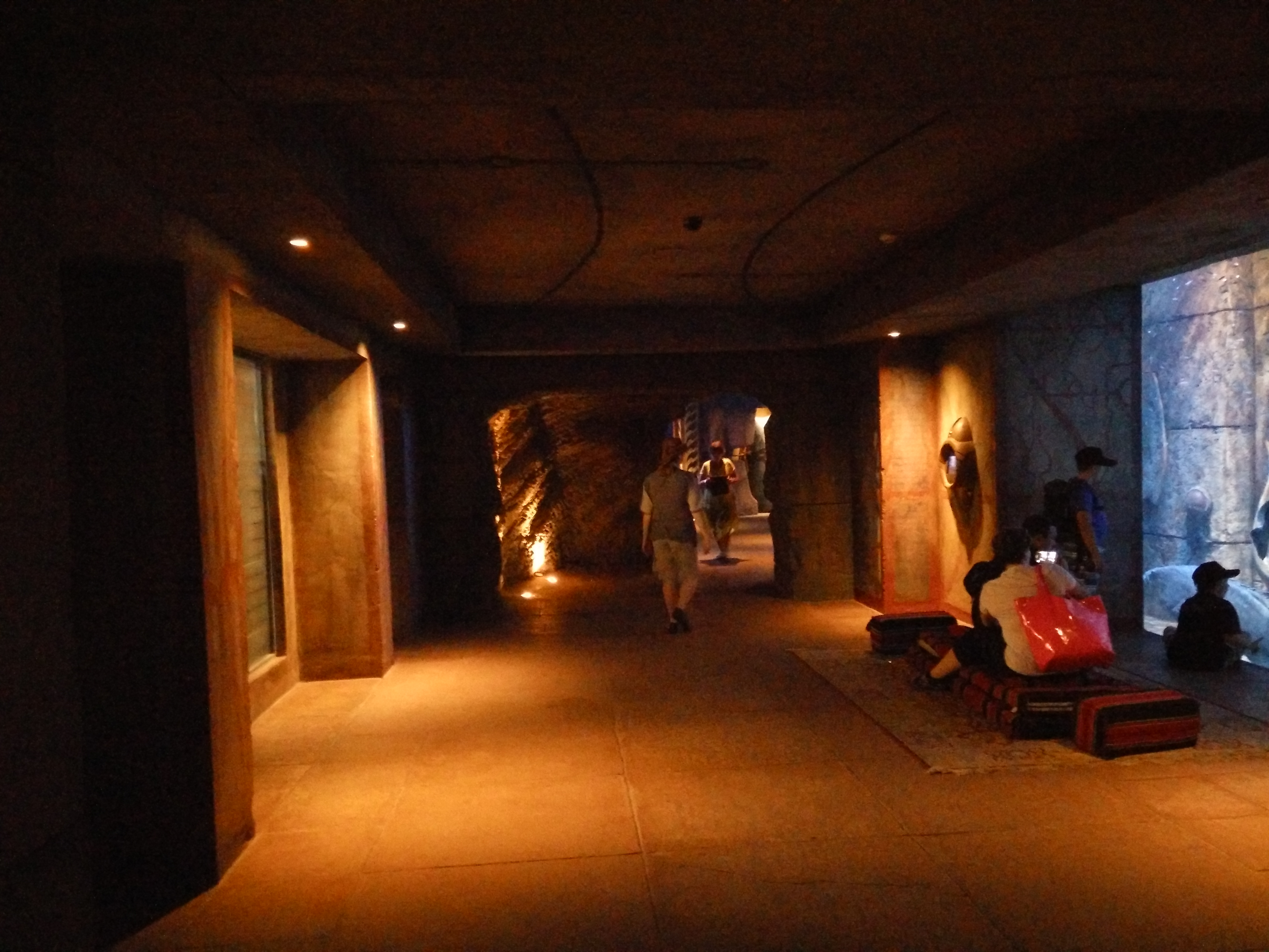 hallways inside the hotel atlantis