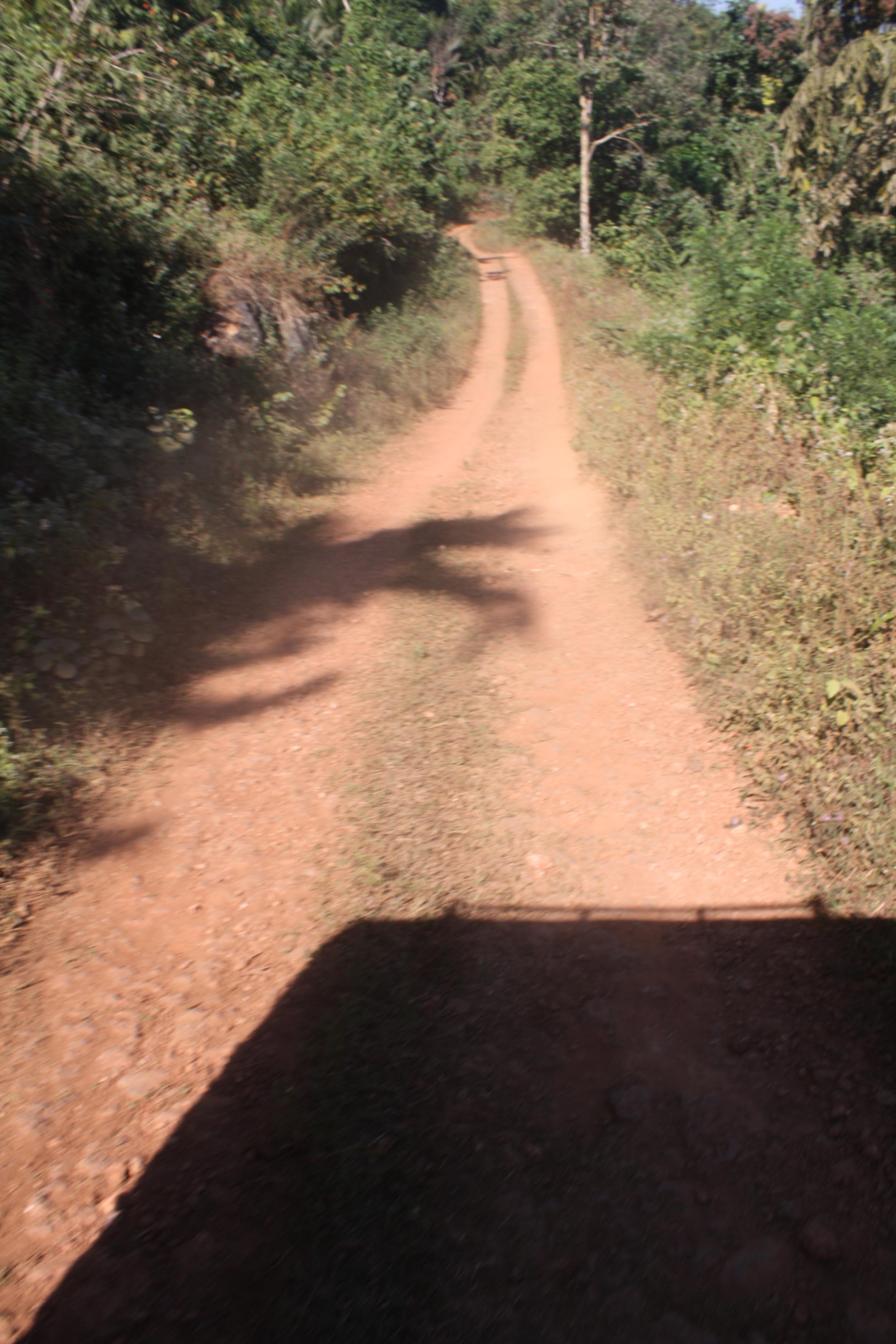 the unpaved path towards the trek start point