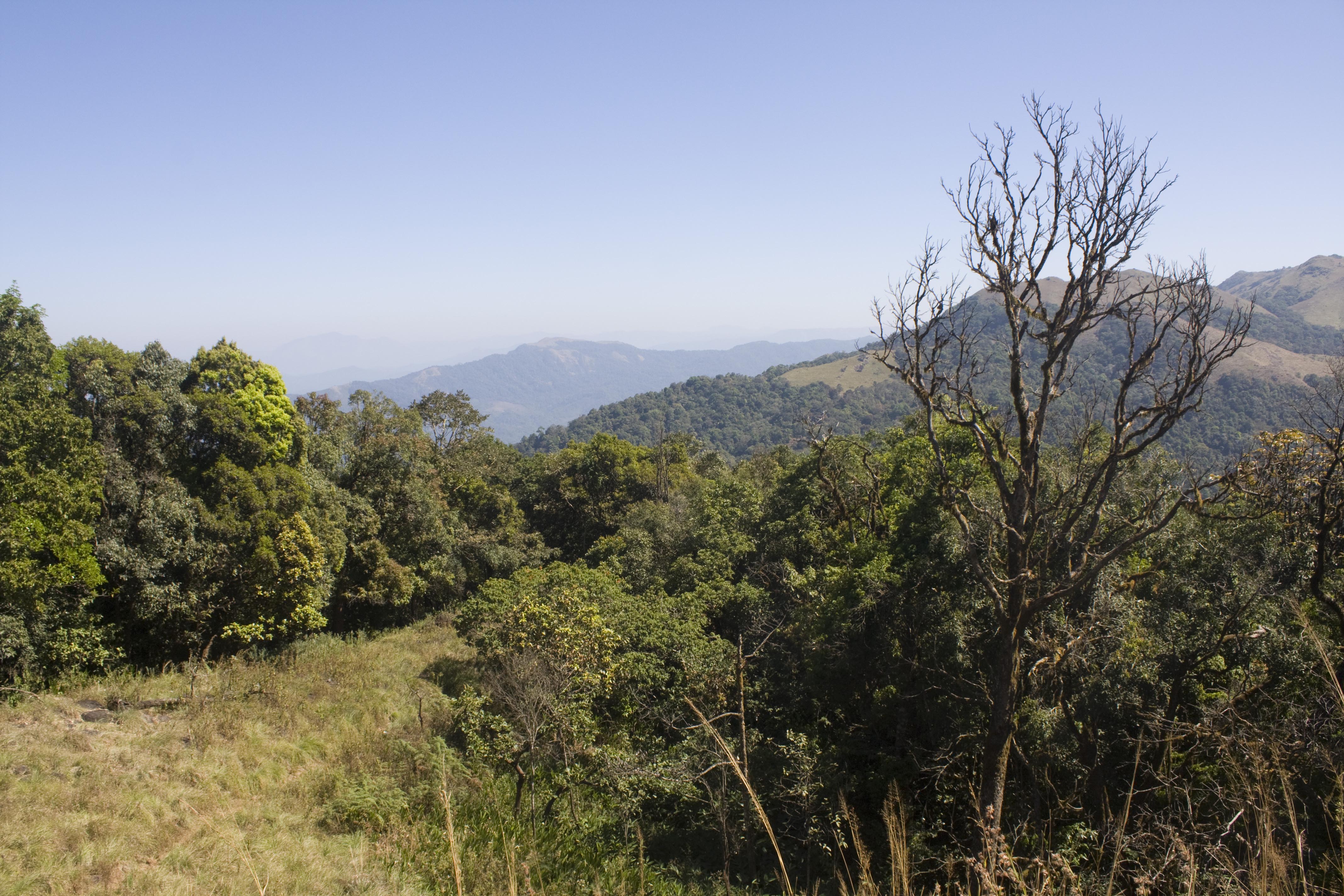 Opening out into the sky in Ranipuram