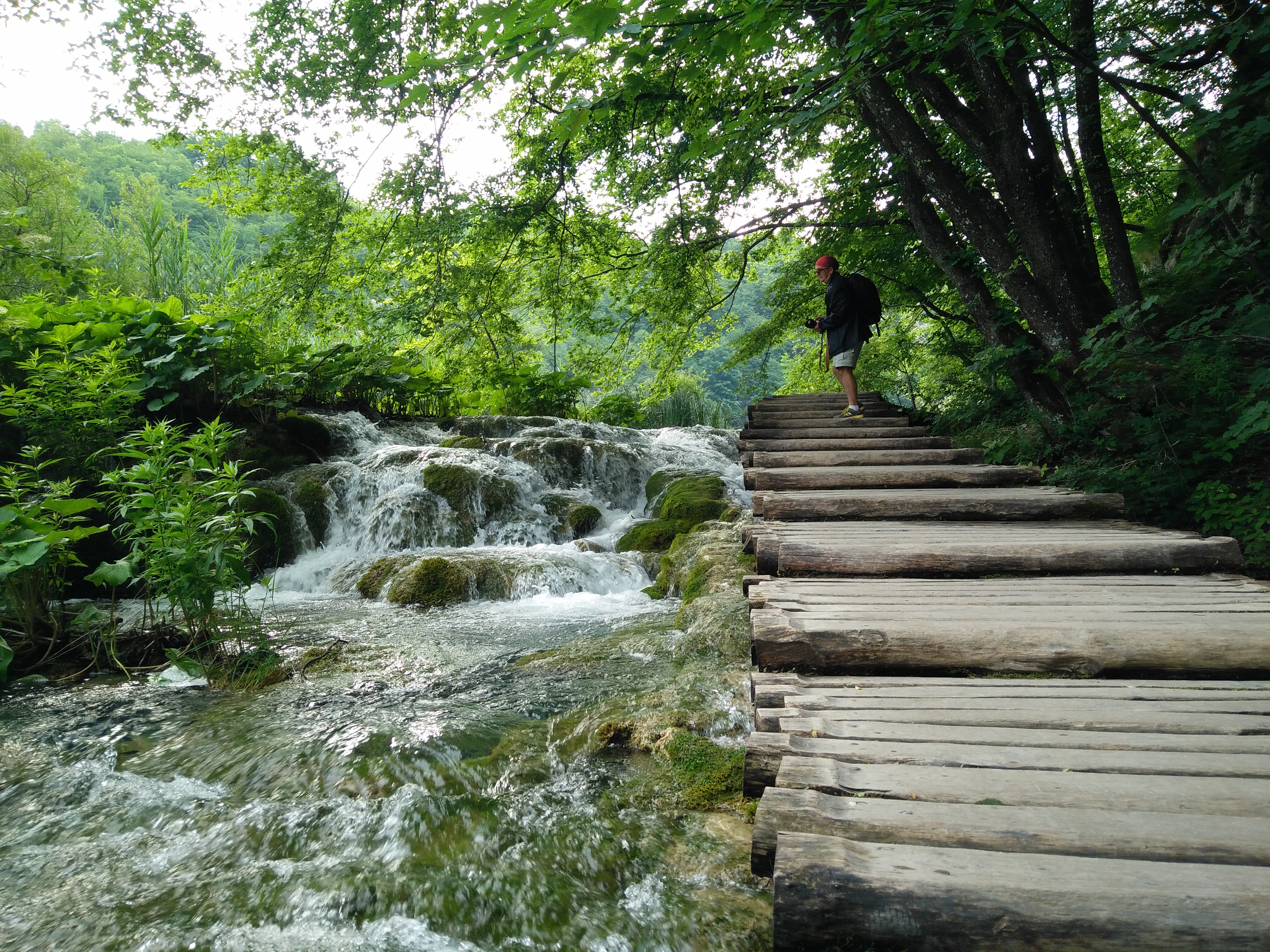 Beautiful views inside Plitvice national park Croatia