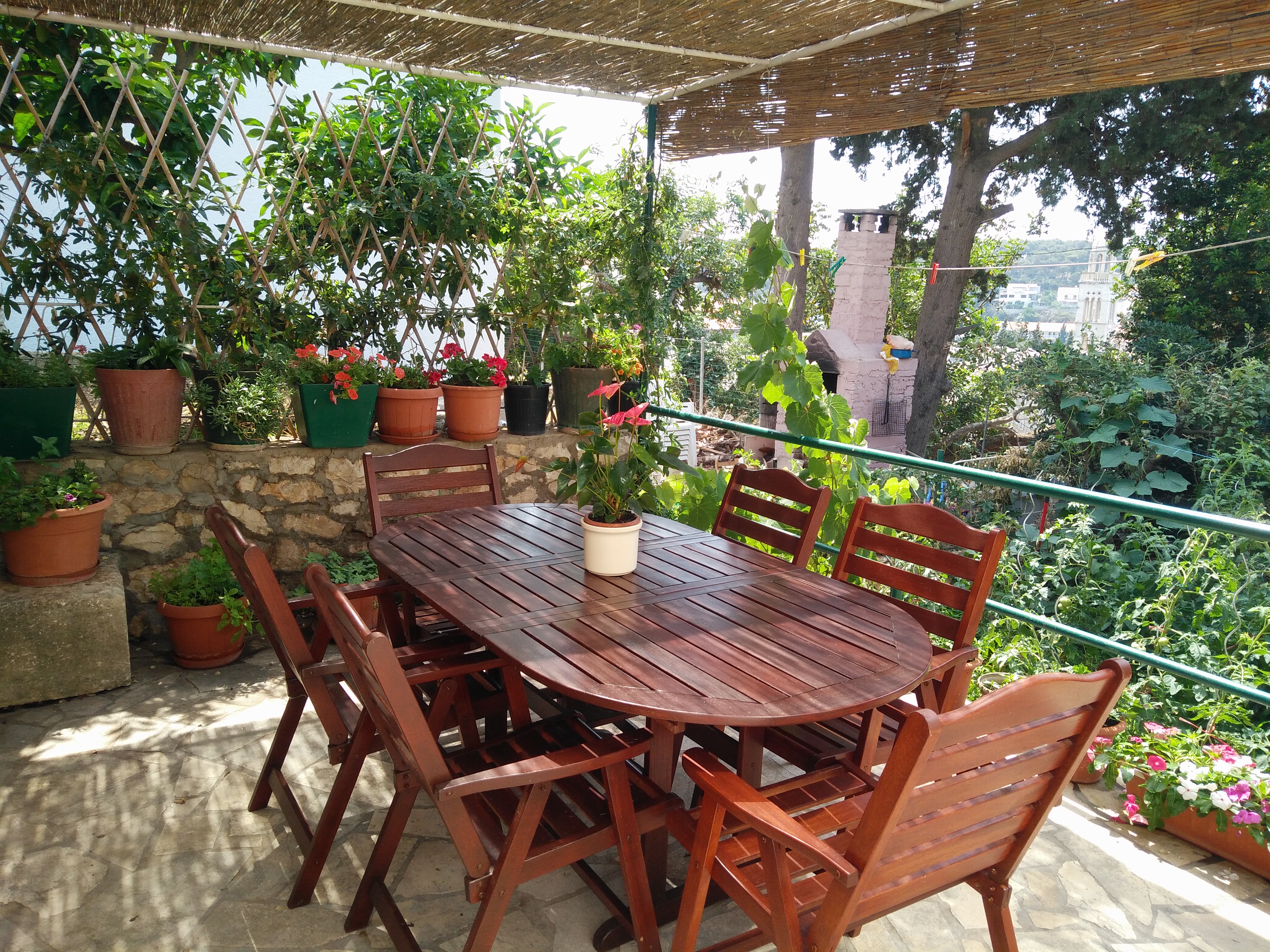 Our backyard in Hvar Croatia