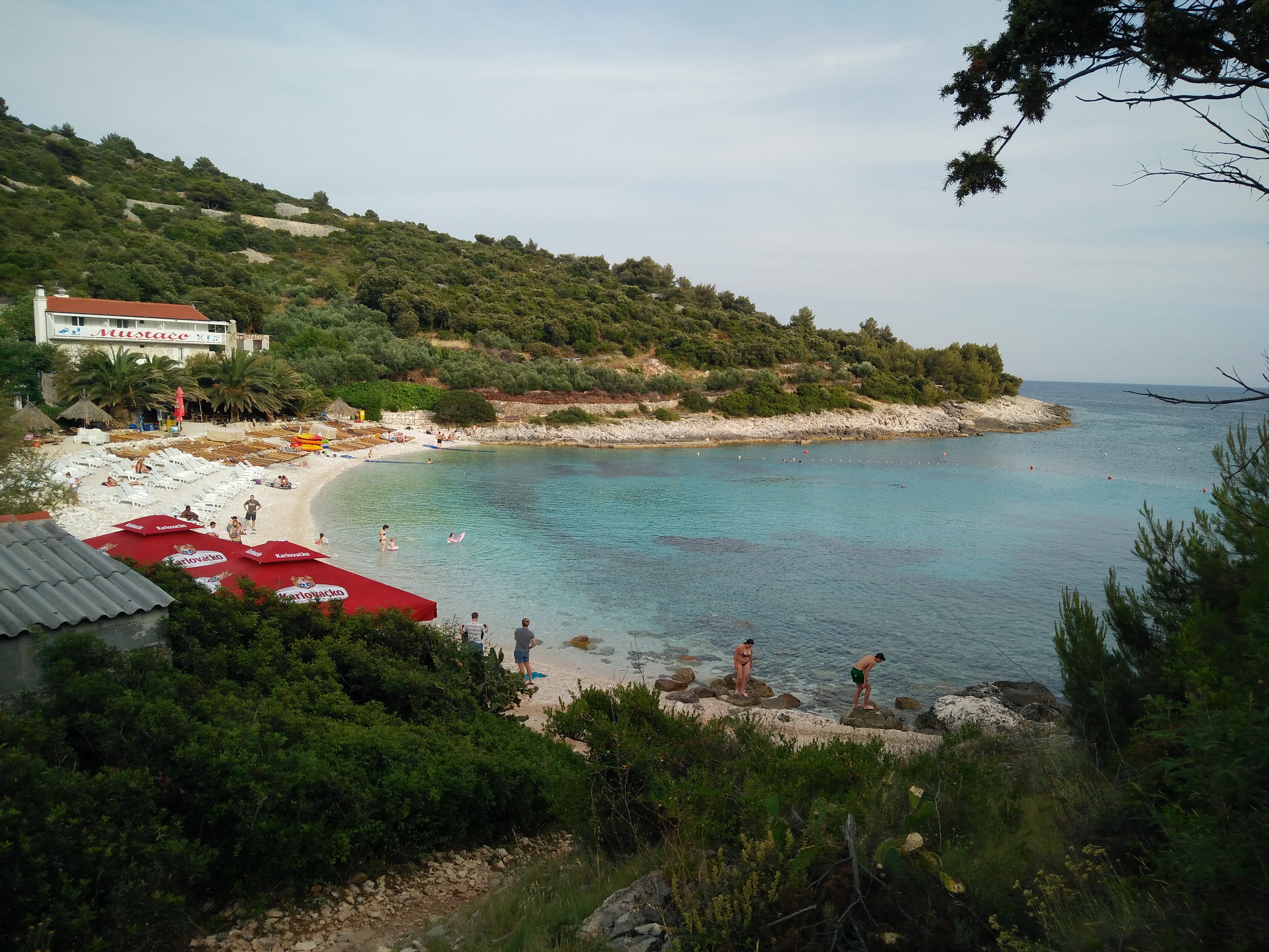 Looking back from the hill shortcut