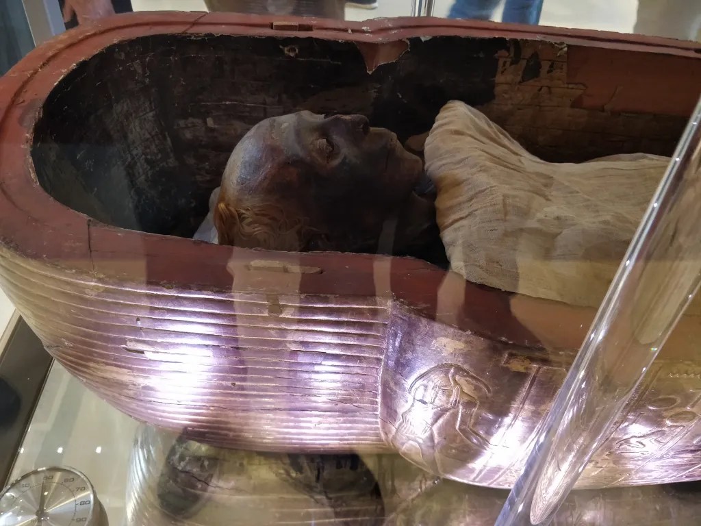 a mummy from ancient egypt with its hair still intact