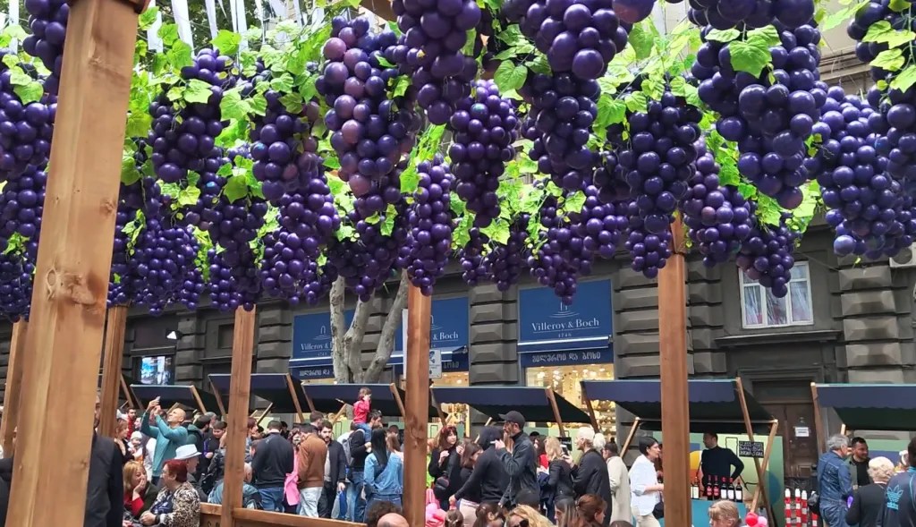 Grapes everywhere - Independence day