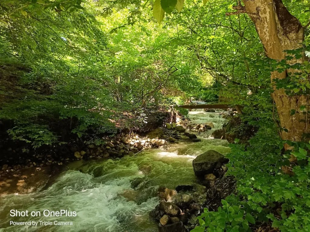A babbling brook in Dilijan