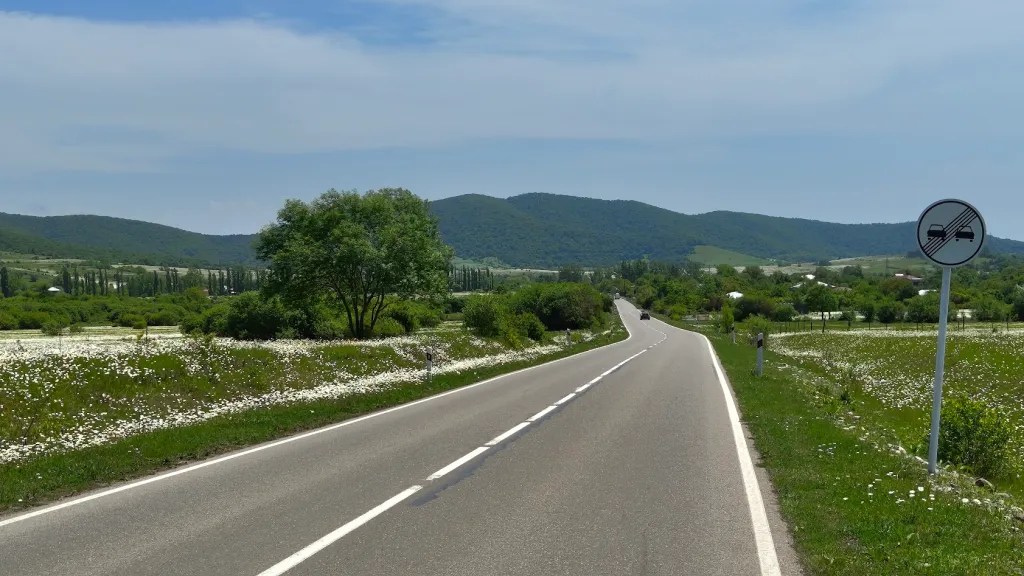 The mountains opened up to these roads with flowers everywhere in Tianeti and Akhmeta