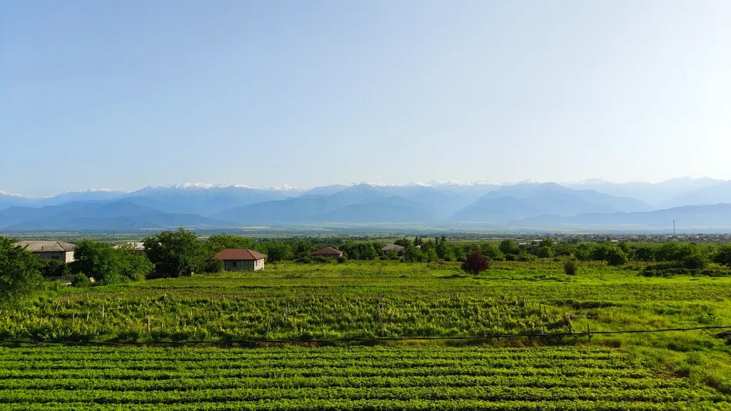 View from our room - vineyards, strawberry fields and the Caucasus - Telavi, Sighnaghi