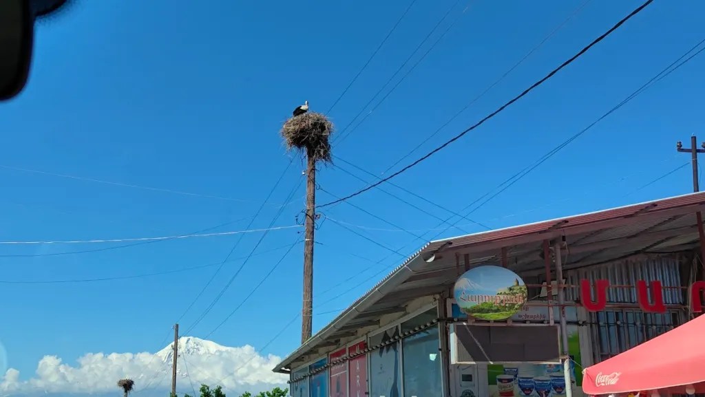 The stork nest on top of the electric pole with Mount Ararat in the background