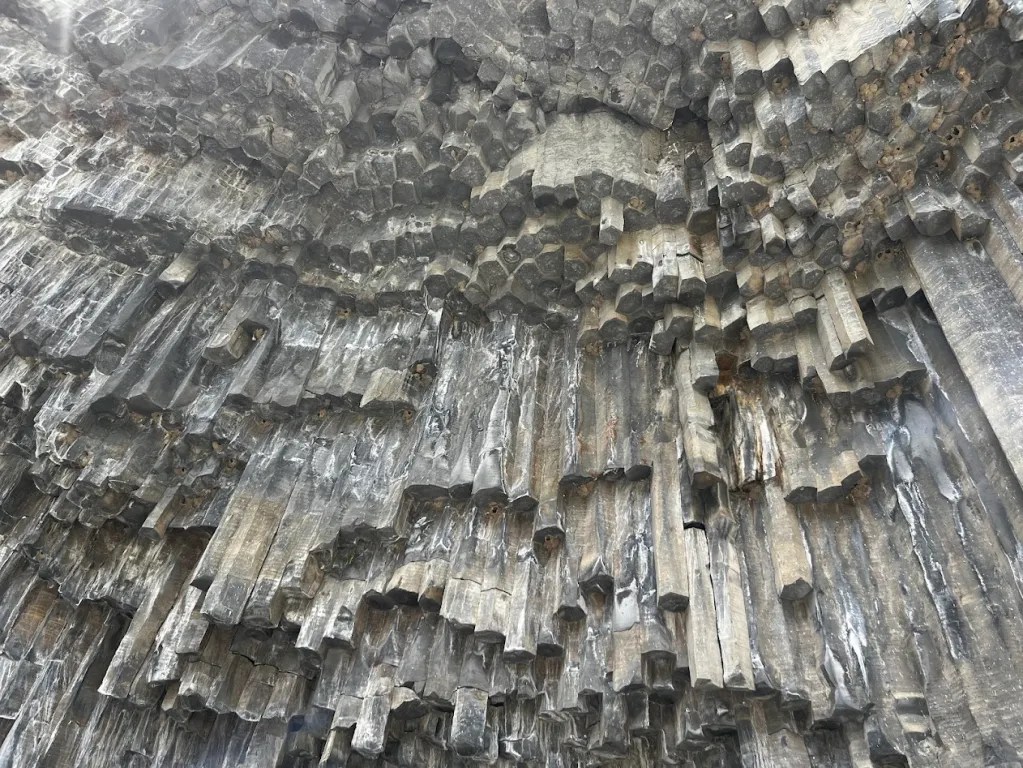 Birds had made their homes in the gaps of the basalt structure in the Symphony of Stones