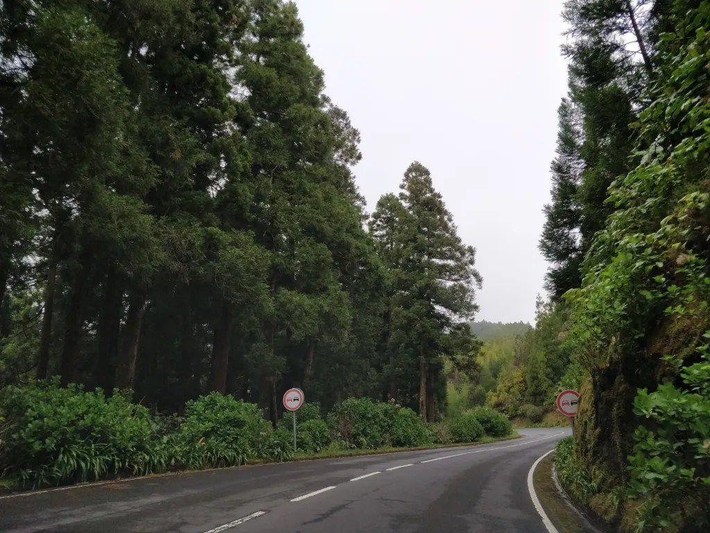 Winding roads of Sao miguel