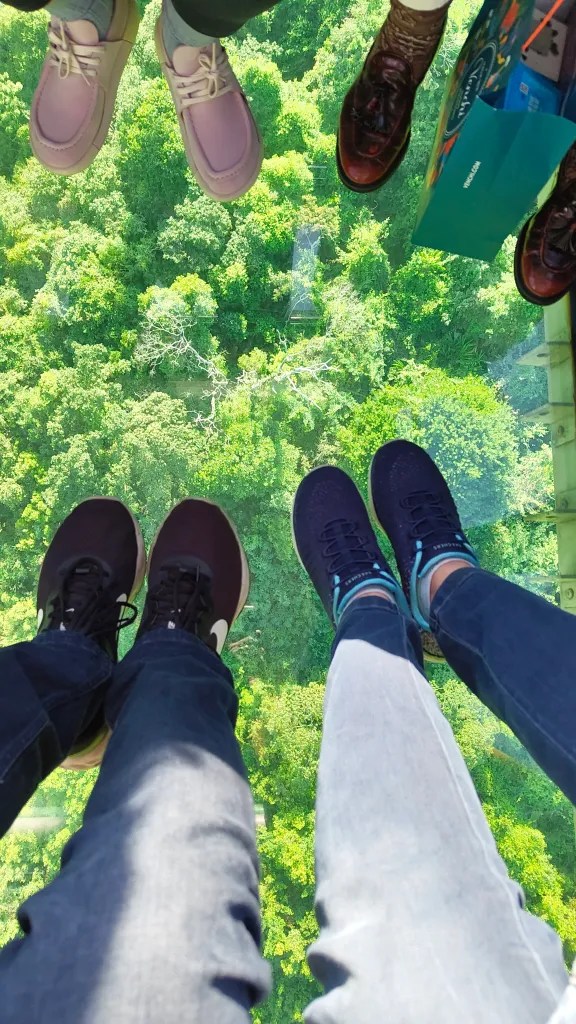 The transparent floor of the Ngong Ping cable car Lantau island hong kong