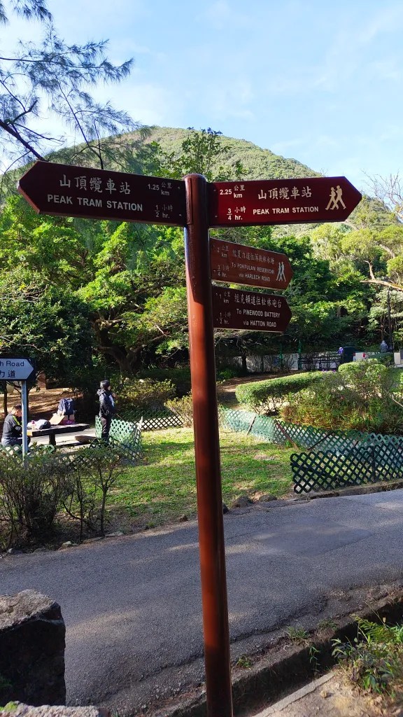 hong kong's urban oasis - roads leading to tram