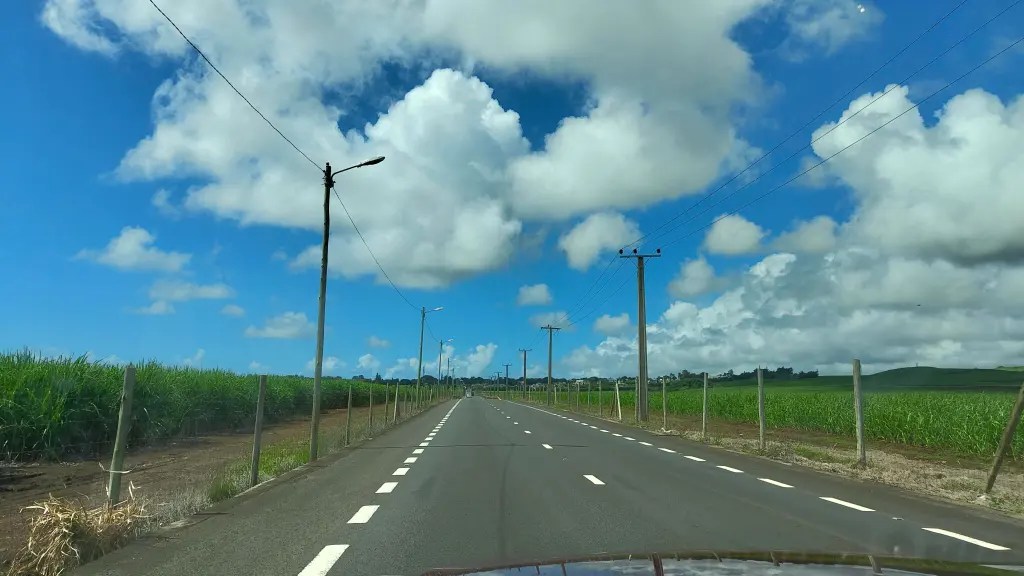 Mauritius travel blog - sugarcane fields