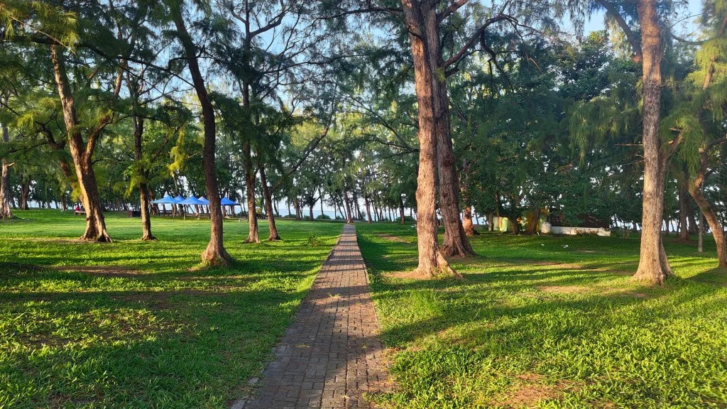 Belle mare beach in mauritius