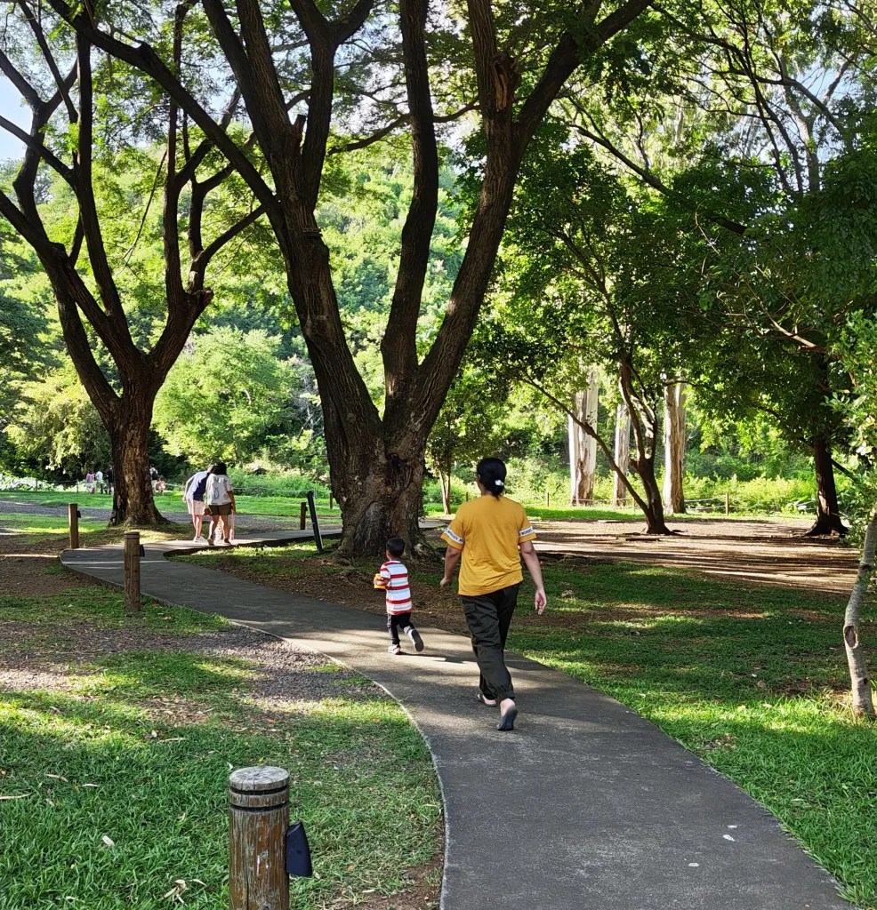 Rushing to see the giraffes!