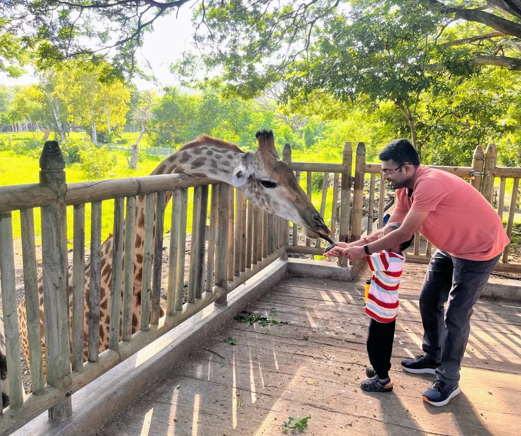 breakfast with giraffes