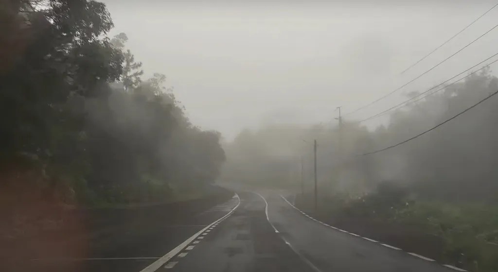 Foggy morning in the National Park